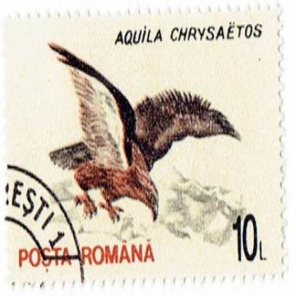 AQUILA COMMEMORATIVE STAMP WS 5