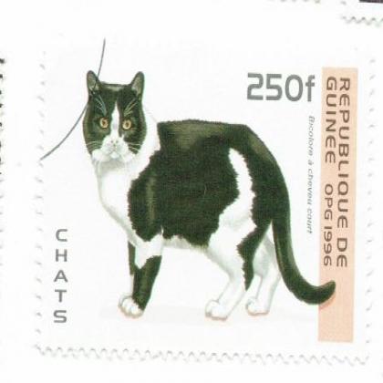 GUINEA 1996 CATS ANIMAL COMMEMORATIVE STAMP WS 7
