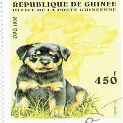 GUINEA 1996 ROTTWEILER  DOG ANIMAL COMMEMORATIVE STAMP WS 7