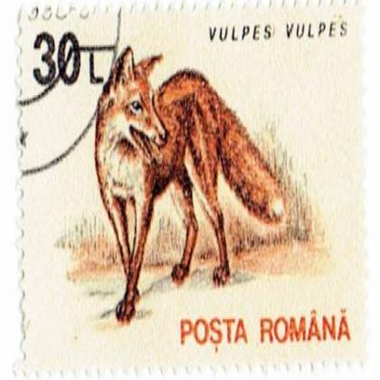 JACKLE VULPES COMMEMORATIVE STAMP WS 5