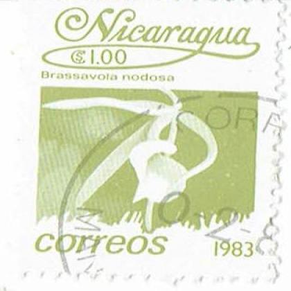 NICARAGUA 1983 NODOSA FLOWER CORREOS STAMP WS04
