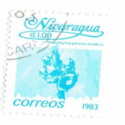 NICARGUA 1983 INDICA  COMMEMORATIVE STAMP WS 8