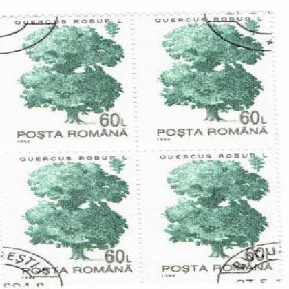 ROMANIA 1994 QUERCUS ROBUR L 60L THEME BLOCK OF 4 STAMPS