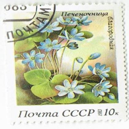 RUSSIA 10K CCCP FLOWER COMMEMORATIVE STAMP WS 6