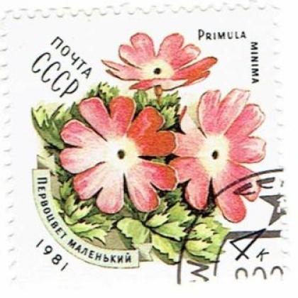 RUSSIA 1981 GRADEN  FLOWER THEME  STAMPWS8